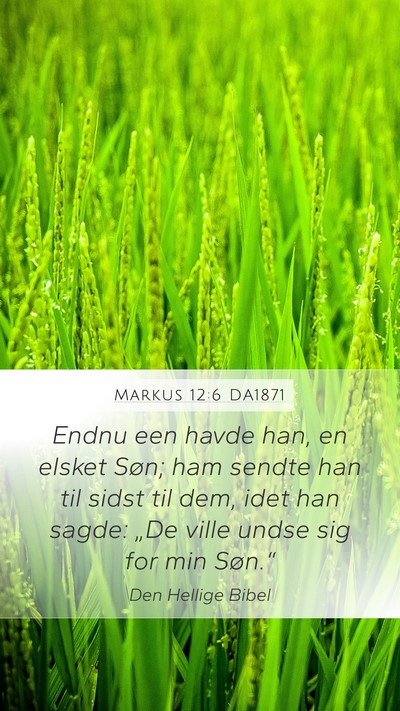 Markus 12:6 DA1871 Bible Verse Image