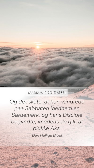 Markus 2:23 DA1871 Bible Verse Image