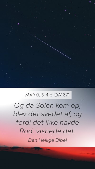Markus 4:6 DA1871 Bible Verse Image