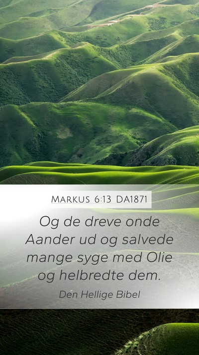 Markus 6:13 DA1871 Bible Verse Image
