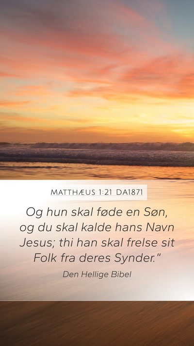 Matthæus 1:21 DA1871 Bible Verse Image