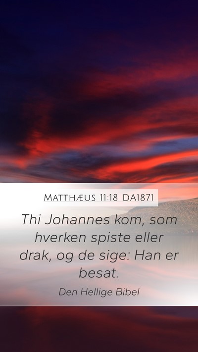 Matthæus 11:18 DA1871 Bible Verse Image