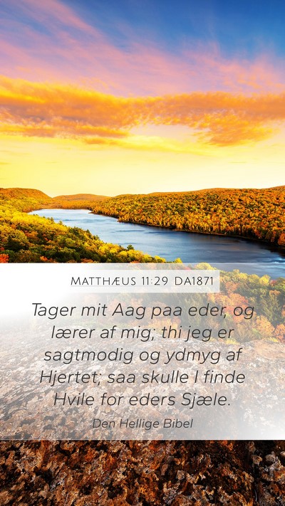 Matthæus 11:29 DA1871 Bible Verse Image