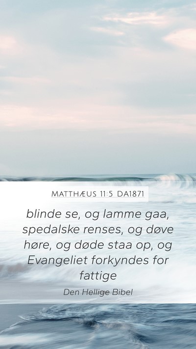 Matthæus 11:5 DA1871 Bible Verse Image