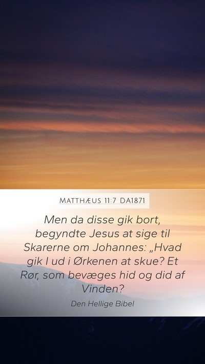 Matthæus 11:7 DA1871 Bible Verse Image