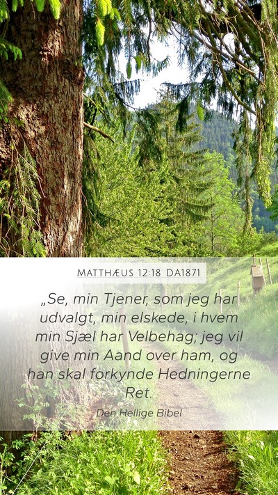 Matthæus 12:18 DA1871 Bible Verse Image