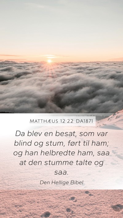 Matthæus 12:22 DA1871 Bible Verse Image