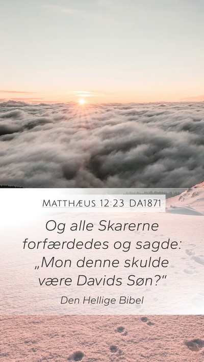 Matthæus 12:23 DA1871 Bible Verse Image