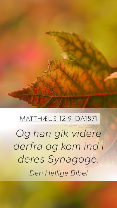 Matthæus 12:9 DA1871 Bible Verse Image