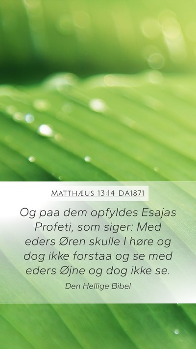 Matthæus 13:14 DA1871 Bible Verse Image