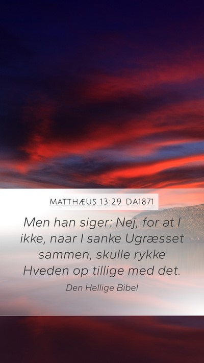 Matthæus 13:29 DA1871 Mobile Phone Wallpaper - Men han siger: Nej, for at I ikke, naar I sanke - Mobile Bible Verse Wallpaper