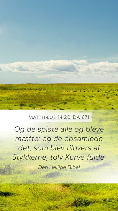 Matthæus 14:20 DA1871 Bible Verse Image