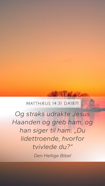 Matthæus 14:31 DA1871 Bible Verse Image