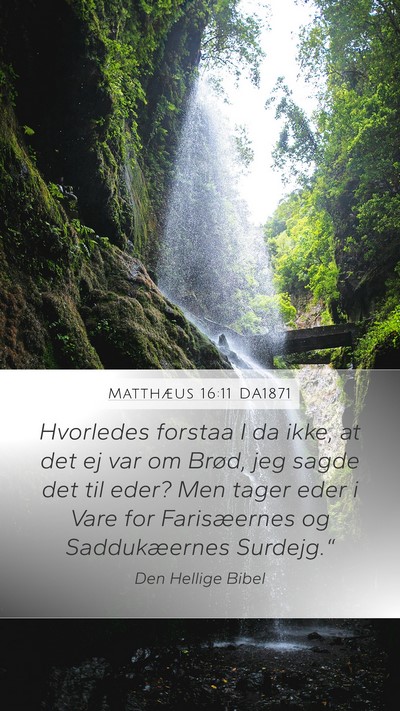 Matthæus 16:11 DA1871 Bible Verse Image