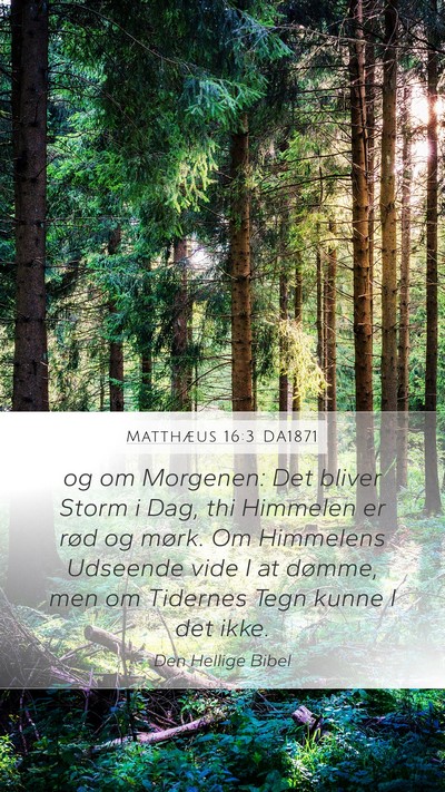 Matthæus 16:3 DA1871 Bible Verse Image