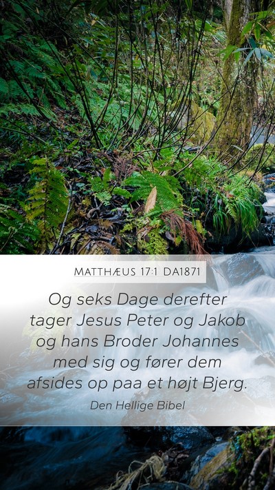 Matthæus 17:1 DA1871 Mobile Phone Wallpaper - Og seks Dage derefter tager Jesus Peter og Jakob - Mobile Bible Verse Wallpaper