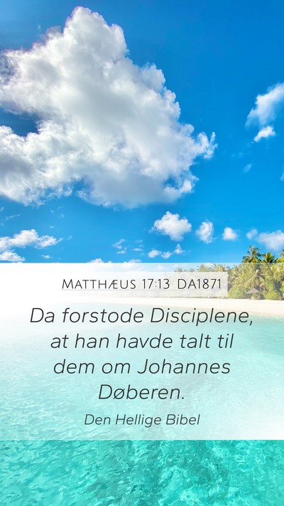 Matthæus 17:13 DA1871 Mobile Phone Wallpaper - Da forstode Disciplene, at han havde talt til dem - Mobile Bible Verse Wallpaper