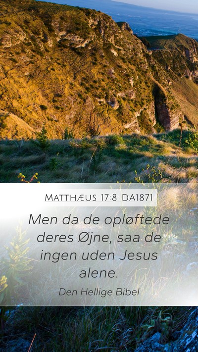 Matthæus 17:8 DA1871 Mobile Phone Wallpaper - Men da de opløftede deres Øjne, saa de ingen - Mobile Bible Verse Wallpaper