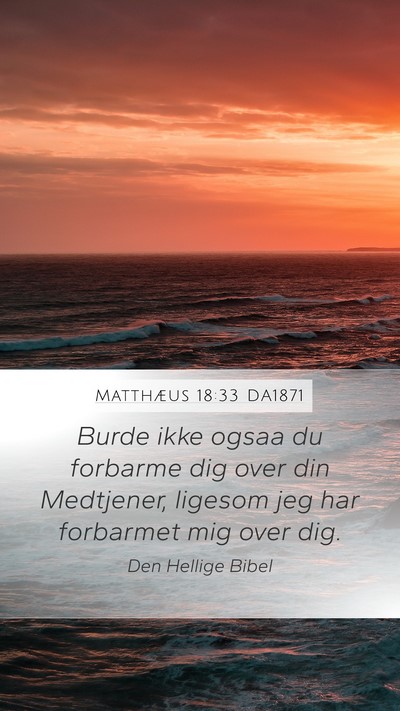 Matthæus 18:33 DA1871 Bible Verse Image