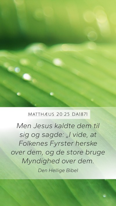 Matthæus 20:25 DA1871 Bible Verse Image