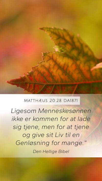 Matthæus 20:28 DA1871 Bible Verse Image