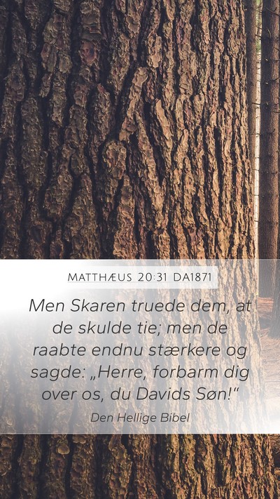 Matthæus 20:31 DA1871 Bible Verse Image