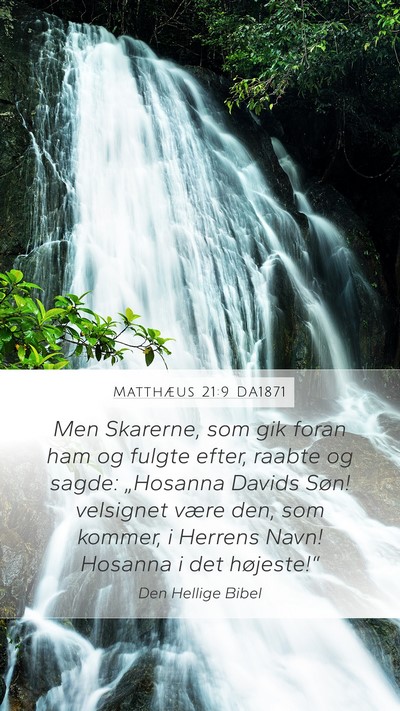 Matthæus 21:9 DA1871 Bible Verse Image
