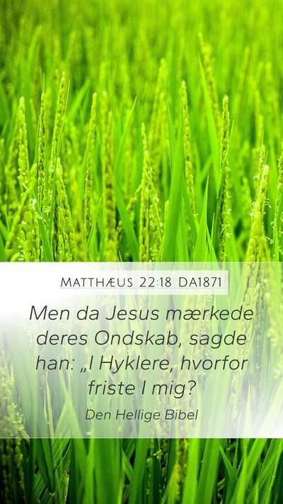 Matthæus 22:18 DA1871 Bible Verse Image