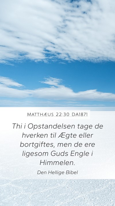 Matthæus 22:30 DA1871 Bible Verse Image