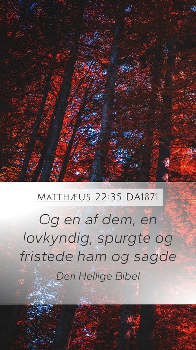 Matthæus 22:35 DA1871 Bible Verse Image