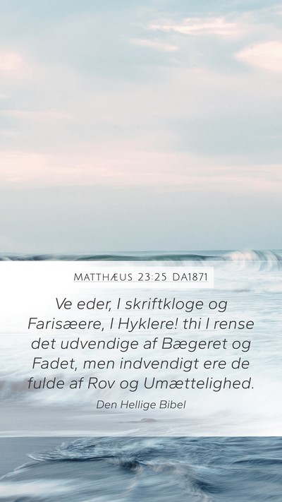 Matthæus 23:25 DA1871 Bible Verse Image