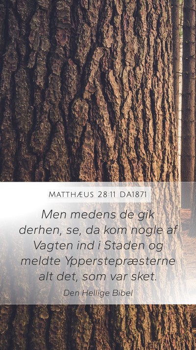 Matthæus 28:11 DA1871 Bible Verse Image