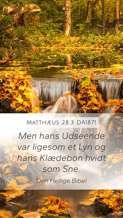 Matthæus 28:3 DA1871 Bible Verse Image