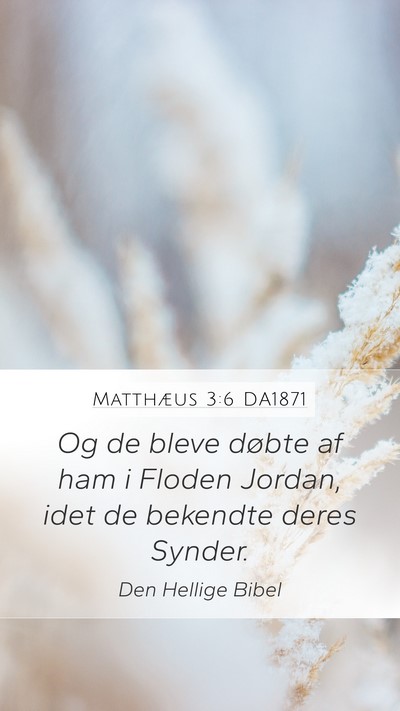 Matthæus 3:6 DA1871 Bible Verse Image
