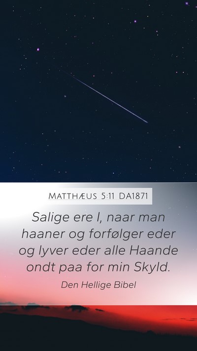Matthæus 5:11 DA1871 Bible Verse Image