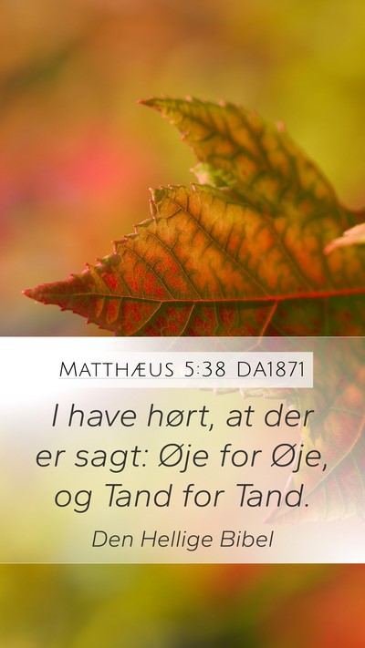 Matthæus 5:38 DA1871 Bible Verse Image