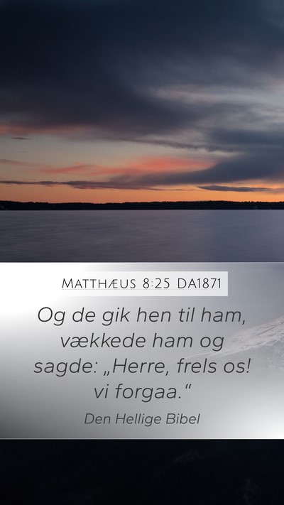 Matthæus 8:25 DA1871 Bible Verse Image