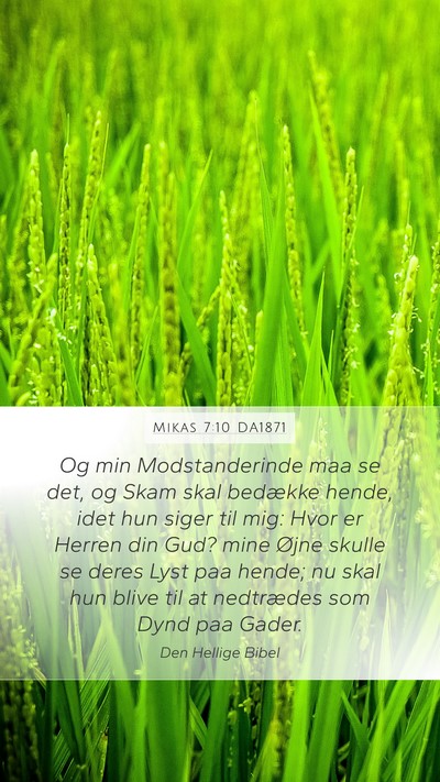 Mikas 7:10 DA1871 Bible Verse Image