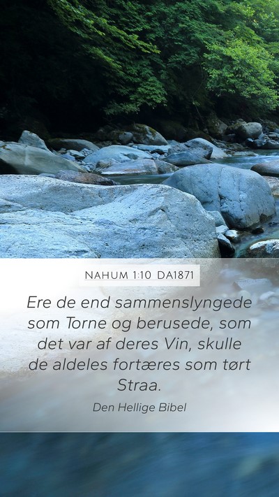 Nahum 1:10 DA1871 Bible Verse Image