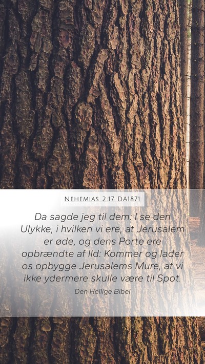 Nehemias 2:17 DA1871 Bible Verse Image