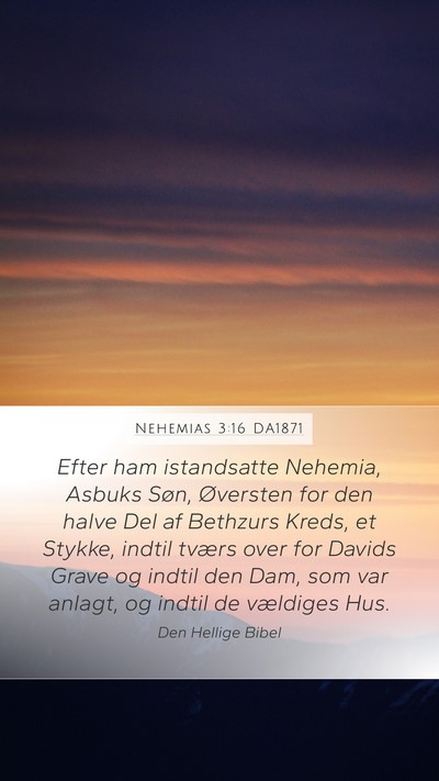 Nehemias 3:16 DA1871 Bible Verse Image