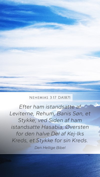 Nehemias 3:17 DA1871 Bible Verse Image