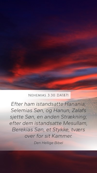 Nehemias 3:30 DA1871 Bible Verse Image