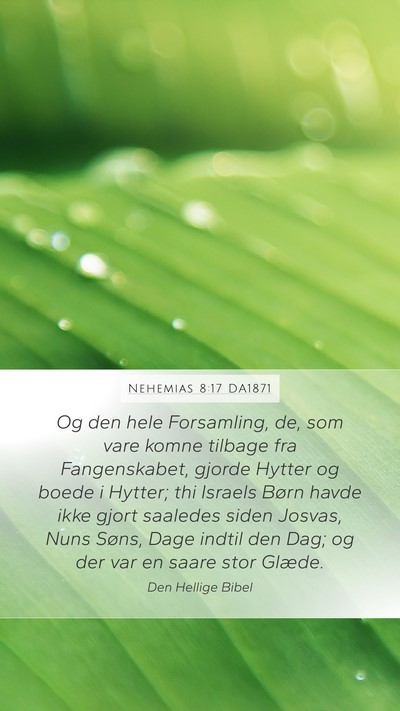 Nehemias 8:17 DA1871 Mobile Phone Wallpaper - Og den hele Forsamling, de, som vare komne - Mobile Bible Verse Wallpaper