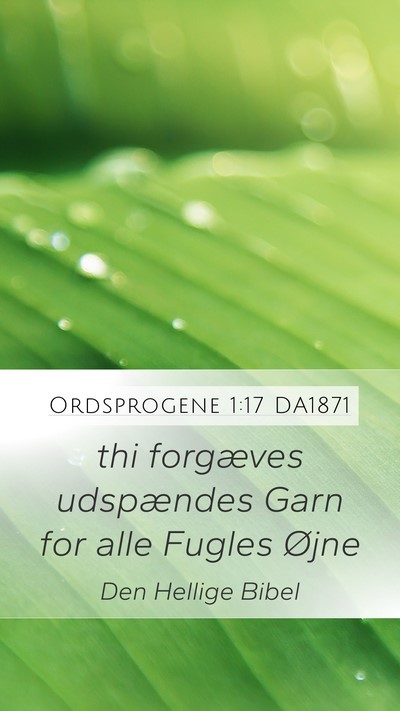Ordsprogene 1:17 DA1871 Bible Verse Image