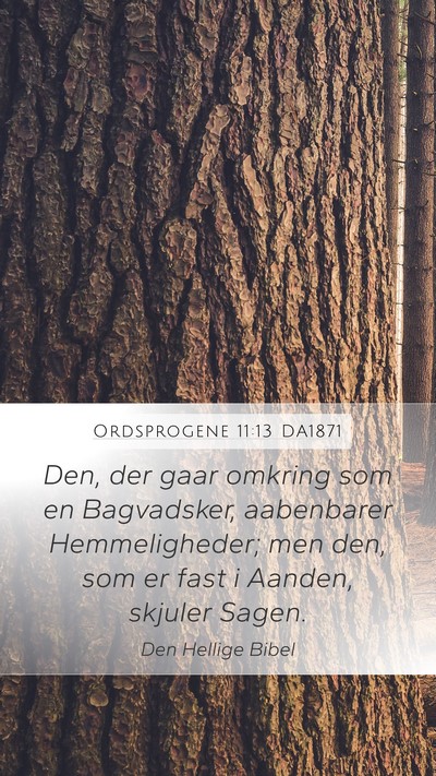 Ordsprogene 11:13 DA1871 Bible Verse Image