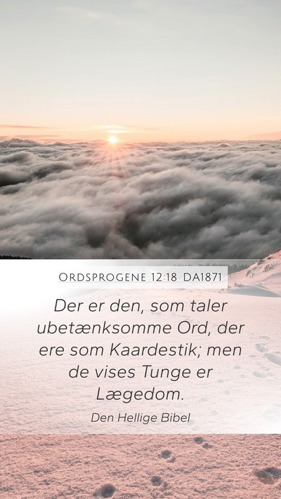 Ordsprogene 12:18 DA1871 Bible Verse Image