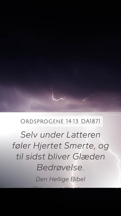 Ordsprogene 14:13 DA1871 Bible Verse Image