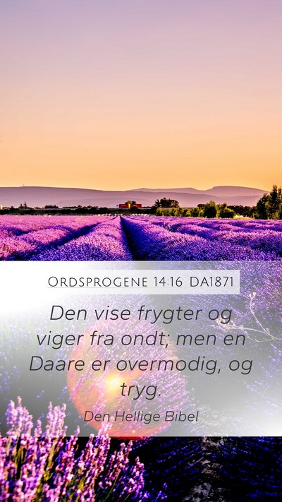 Ordsprogene 14:16 DA1871 Bible Verse Image