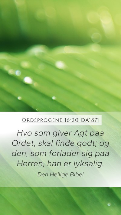 Ordsprogene 16:20 DA1871 Bible Verse Image